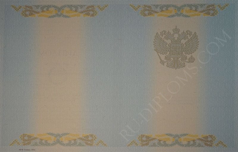 Диплом бакалавра 1997-2003 год  